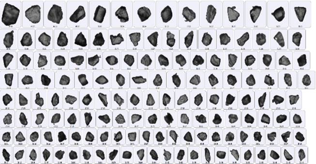 20221118-453095651.png 640 (7).png
