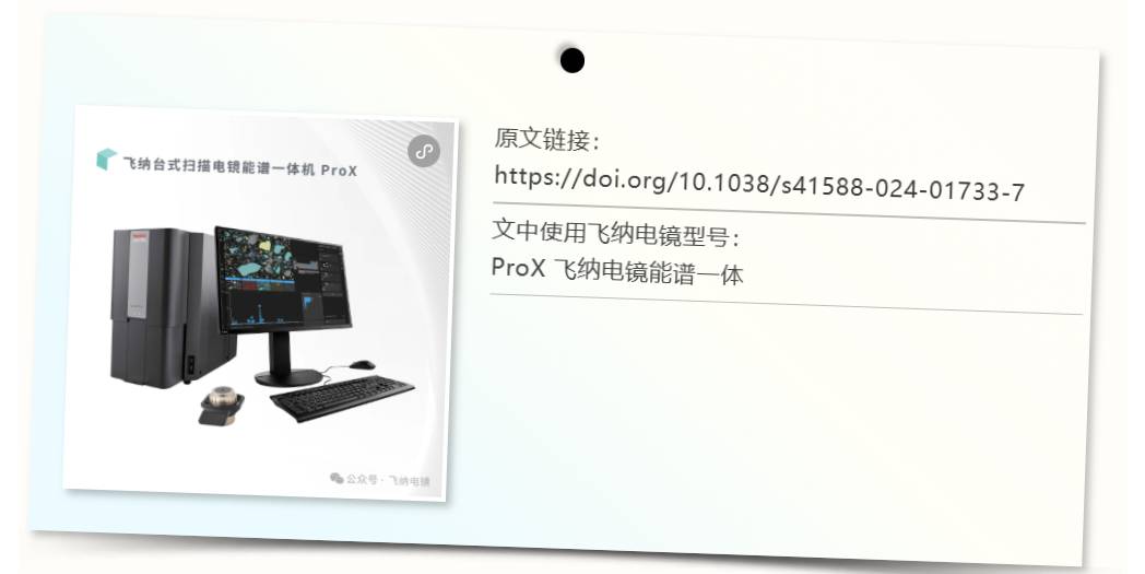 ProX 飞纳电镜能谱一体